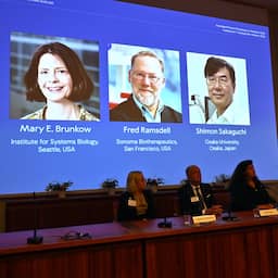Nobelprijs voor Geneeskunde voor onderzoek naar het menselijk afweersysteem