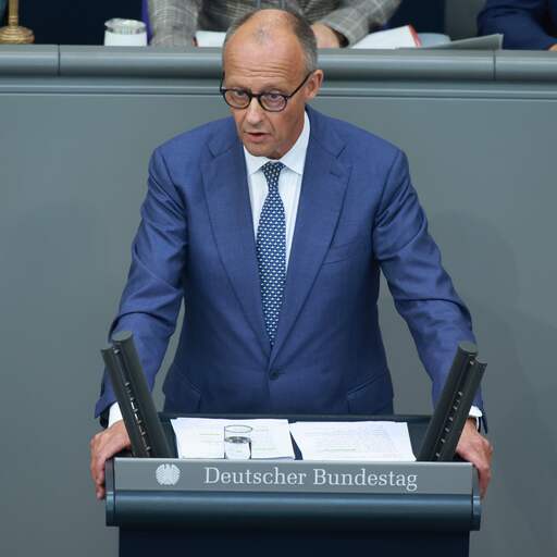 Illustratie bij: Merz beschuldigt AfD van 'etnische zuivering' tijdens debat in Bondsdag