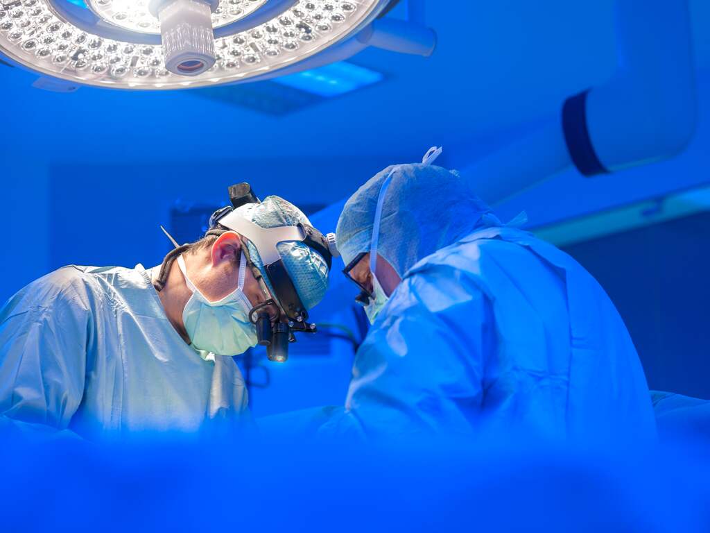 Medische mijlpaal: man weer opgeknapt na ontvangen varkensnier