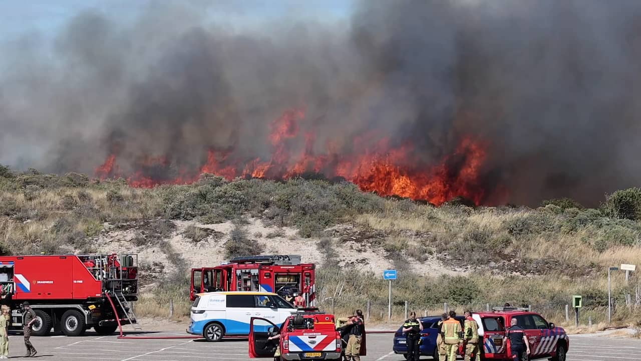 Video | Vlammen vreten zich door duinen bij Wassenaar