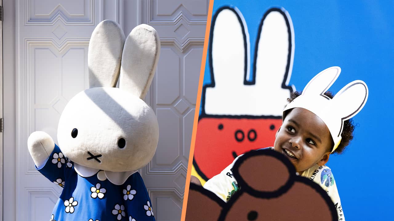 Nijntje is zeventig jaar: hoe een Utrechts konijn wereldberoemd werd