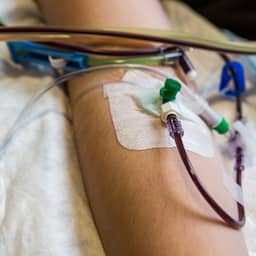 Gezondheidsraad adviseert persoonlijk contact stamceldonor en -ontvanger