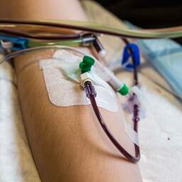 Gezondheidsraad adviseert persoonlijk contact stamceldonor en -ontvanger