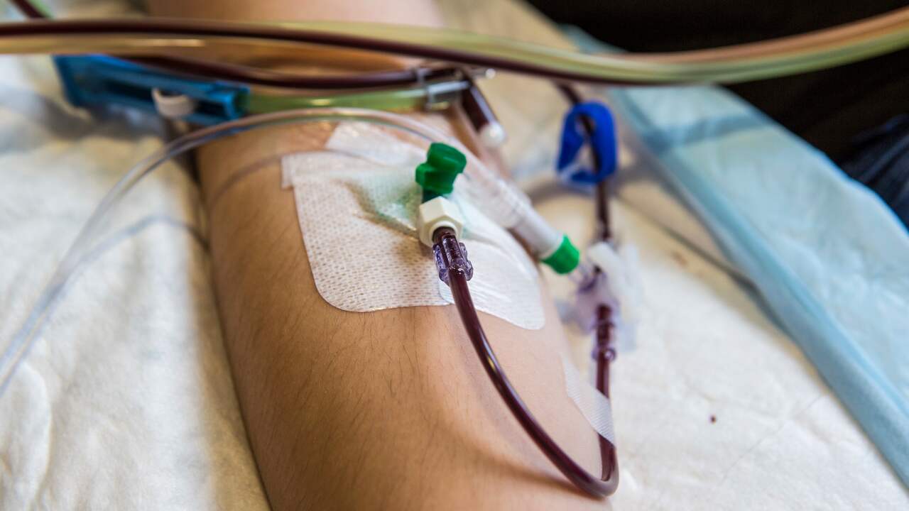 Foto bij Gezondheidsraad adviseert persoonlijk contact stamceldonor en -ontvanger