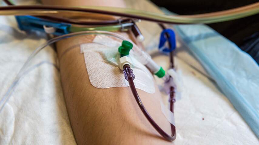 Foto bij Gezondheidsraad adviseert persoonlijk contact stamceldonor en -ontvanger