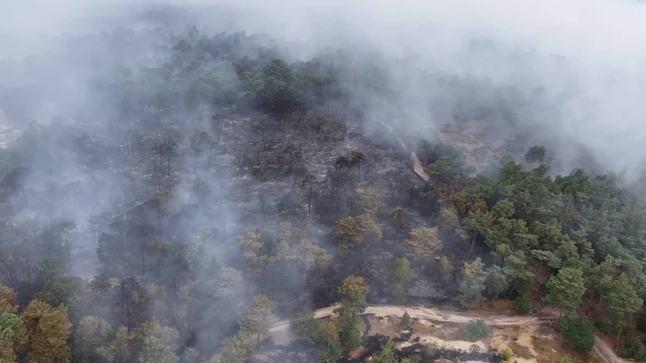 Drone toont verbrand Limburgs landschap na natuurbrand