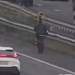 Fatbiker rijdt tussen druk verkeer op vluchtstrook A16 bij Rotterdam