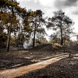 Opgelaaide brand Limburg geblust, maar vrijdag nog geen treinen