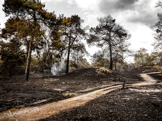 Opgelaaide brand in Limburg geblust, maar vrijdag nog geen treinen