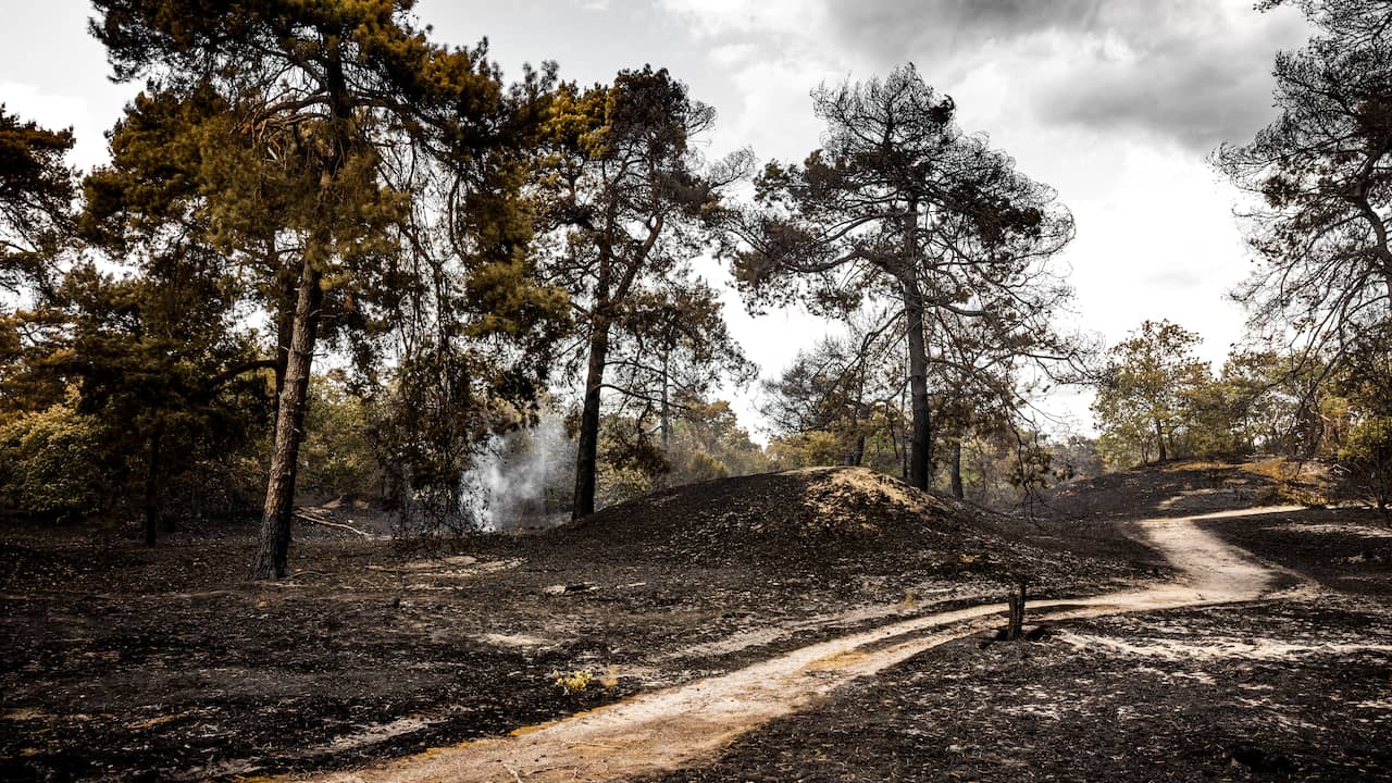 Opgelaaide brand Limburg geblust, maar vrijdag nog geen treinen