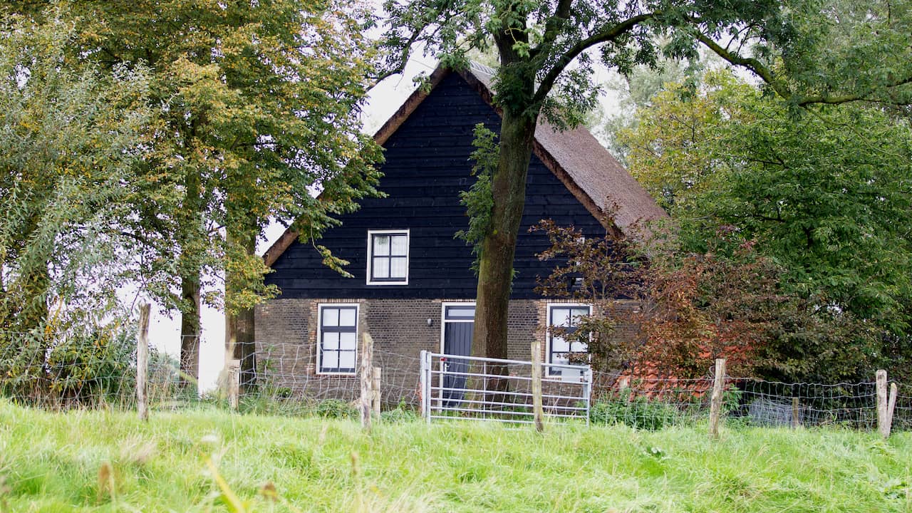 Verdachten dubbele moord Hooge Zwaluwe onder voorwaarden vrij