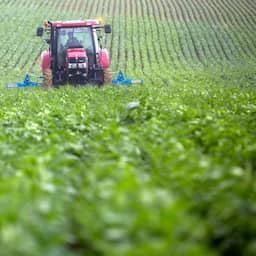 Boer ontdekt handgranaat tijdens het rooien van aardappels in Noord-Holland