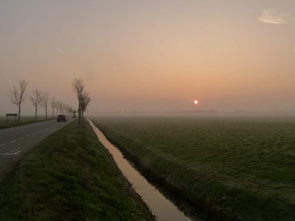 Donderdag 28 februari: Mist bedekt Maasbommel.