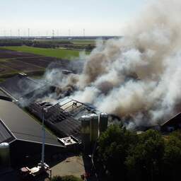 Grote brand in schuur met honderden varkens op boerderij in Groningse Mussel