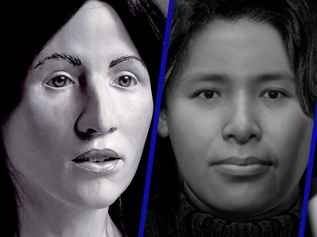 Politie krijgt 51 tips over negen in Nederland gevonden vermoorde vrouwen