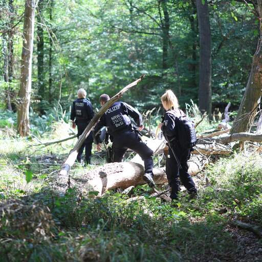 Illustratie bij: Duitse politie vindt explosieven bij stroomnet tijdens zoektocht naar saboteur