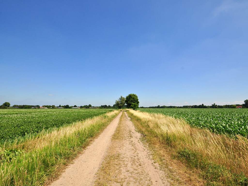 Woensdag 20 juni: Het was vandaag een mooie dag met een strakblauwe lucht boven de Brabantse weilanden