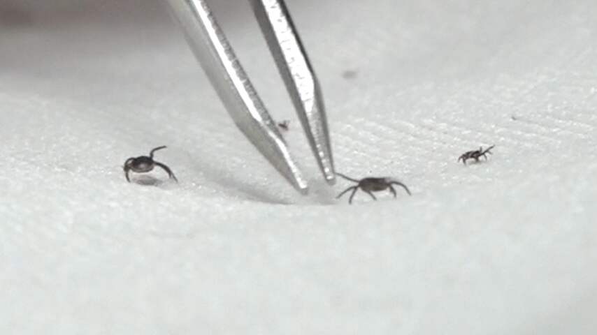 Let op voor teken: dit zijn de risicogebieden