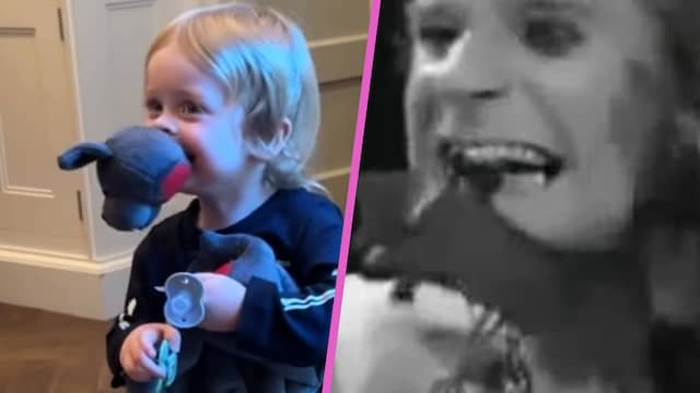 Net als opa: kleinzoon Ozzy Osbourne bijt hoofd van vleermuis(knuffel)
