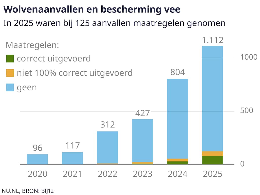 verreweg-meeste-schapen-die-door-wolf-zijn-aangevallen-waren-slecht-beschermd.jpg