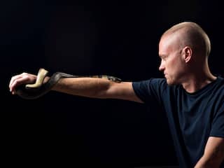 Man ontwikkelt unieke antistoffen na meer dan tweehonderd giftige slangenbeten