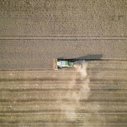 Heatwave threatens European wheat harvest
