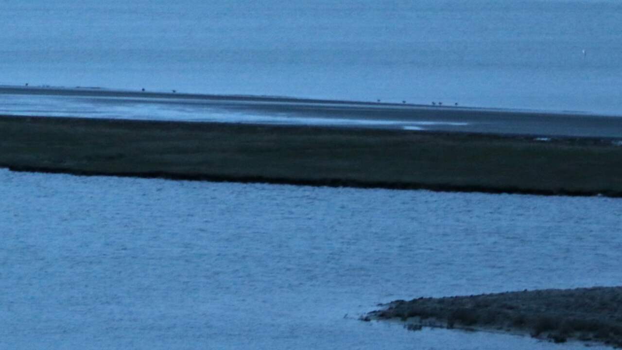 Olietanker vast op zandbank in Westerschelde