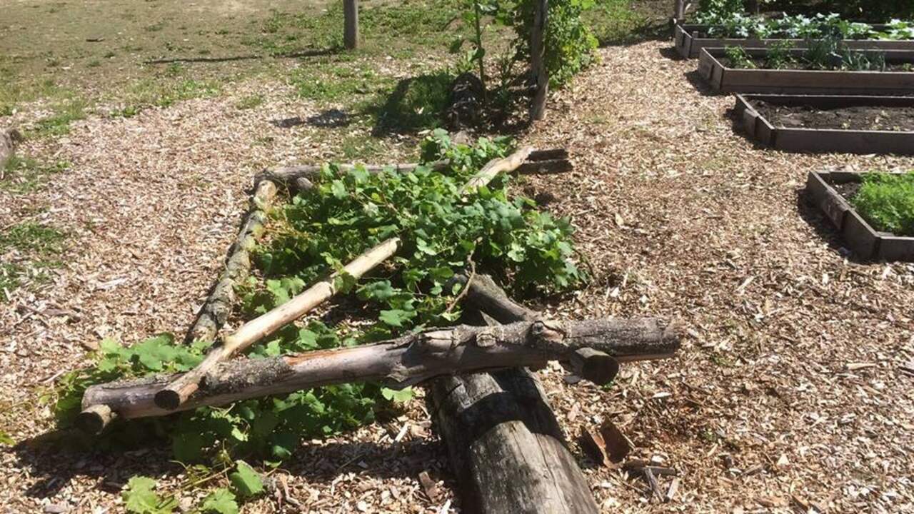 Weer vernielingen aangericht in Roosendaalse DE-Toltuin