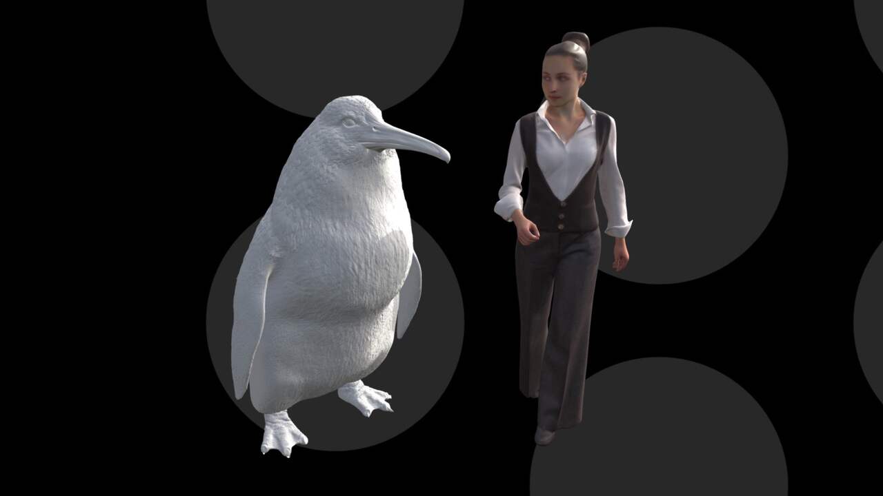 Fossielen van grote pinguïnsoort uit Nieuw-Zeeland ontdekt | Dieren | NU.nl