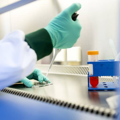 Illustratie bij: Bloedbank Sanquin test in 9 provincies donoren individueel op westnijlvirus