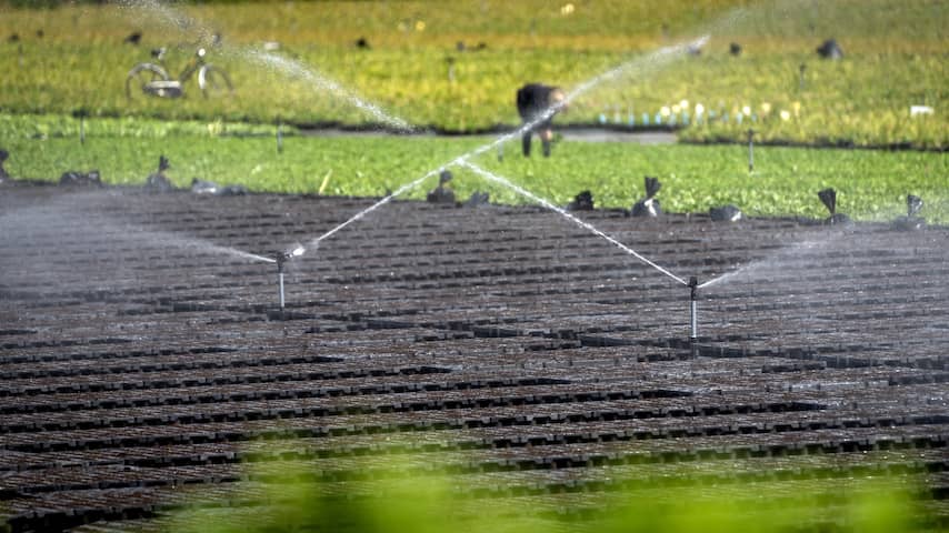 Arbeidsmigrant kan op snelle manier achterstallig loon opeisen