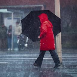 Zondag code geel voor heel Nederland wegens zware onweersbuien en hevige wind