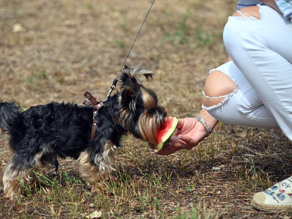 Weerbericht: Zon en wolken, maar het blijft overdag droog