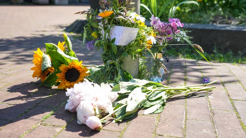 Overzicht van de wijk Meerstad