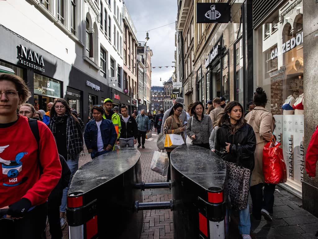 Wat is de betekenis van bekijk Ensie