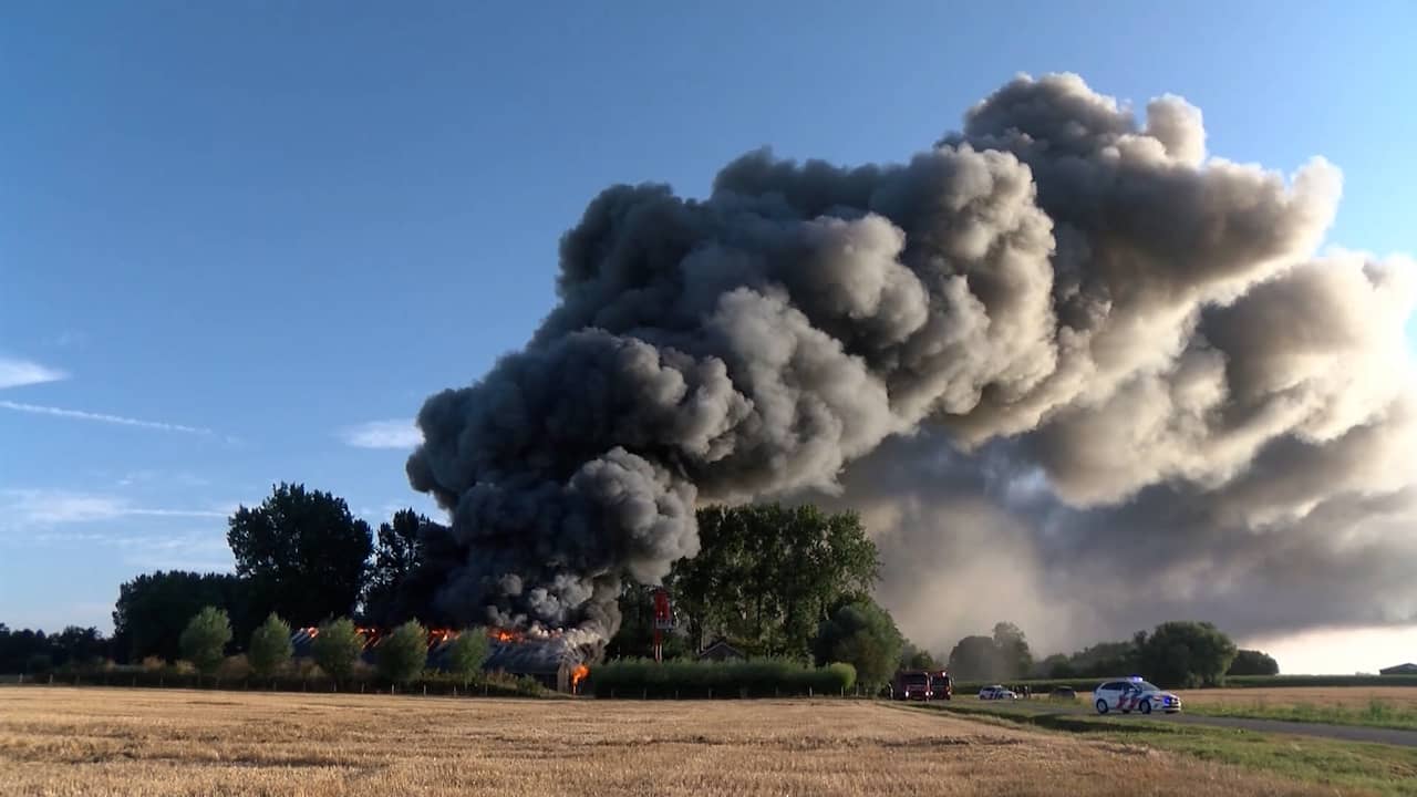 Video | Paardenstal in Zeeuwse plaats Aardenburg gaat in vlammen op