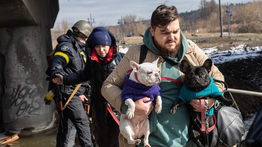 Oekraïners vluchten met huisdieren: tegen deze problemen lopen ze aan