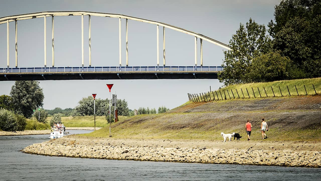 Omstanders redden hond die wordt meegesleurd in de IJssel bij Doesburg