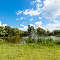 NU+ | Hoe houd je een stad koel bij hitte? 'Meer nodig dan paar grassprietjes'