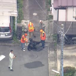 Video | Japanners slepen verdoofde beer uit woonwi