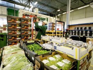 Nederland verdiende vorig jaar meer geld aan export van landbouwproducten