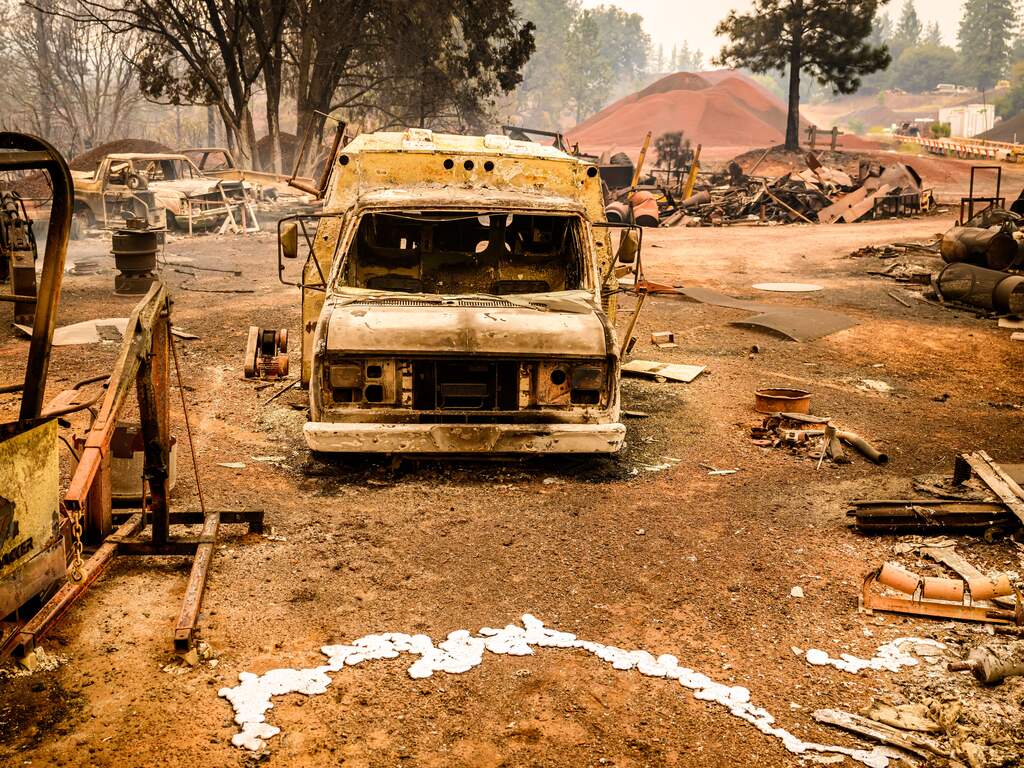 Reddingswerkers halen hond en vier puppy's uit vuurzee in Californië