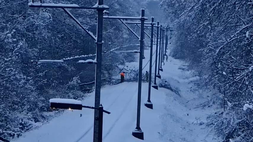 Boom valt op het spoor door dik pak sneeuw in Limburg