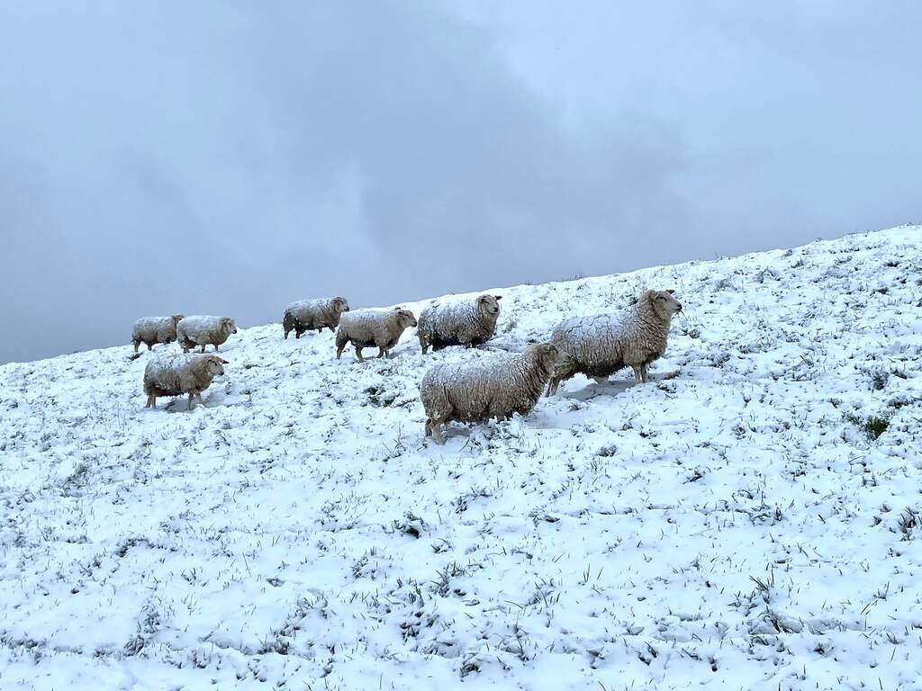 Weekweerbericht: Aanhoudend winterweer met temperaturen onder nul