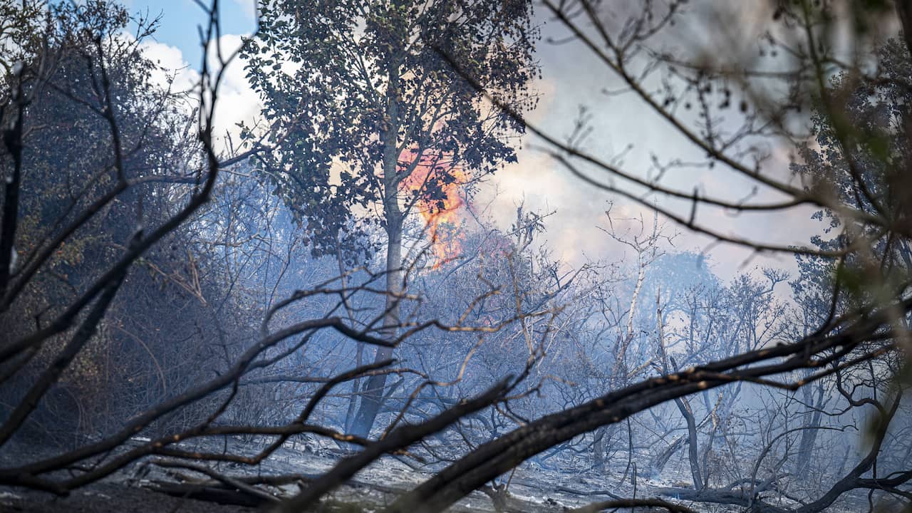 Duinbrand Ouddorp onder controle, tweeduizend vierkante meter natuur verwoest