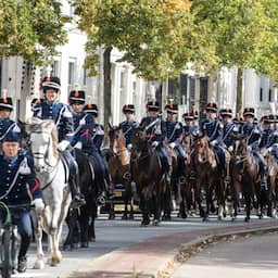 Juiste kleur, hoogte en geen angst: zo worden prinsjesdagpaarden 'gecast'