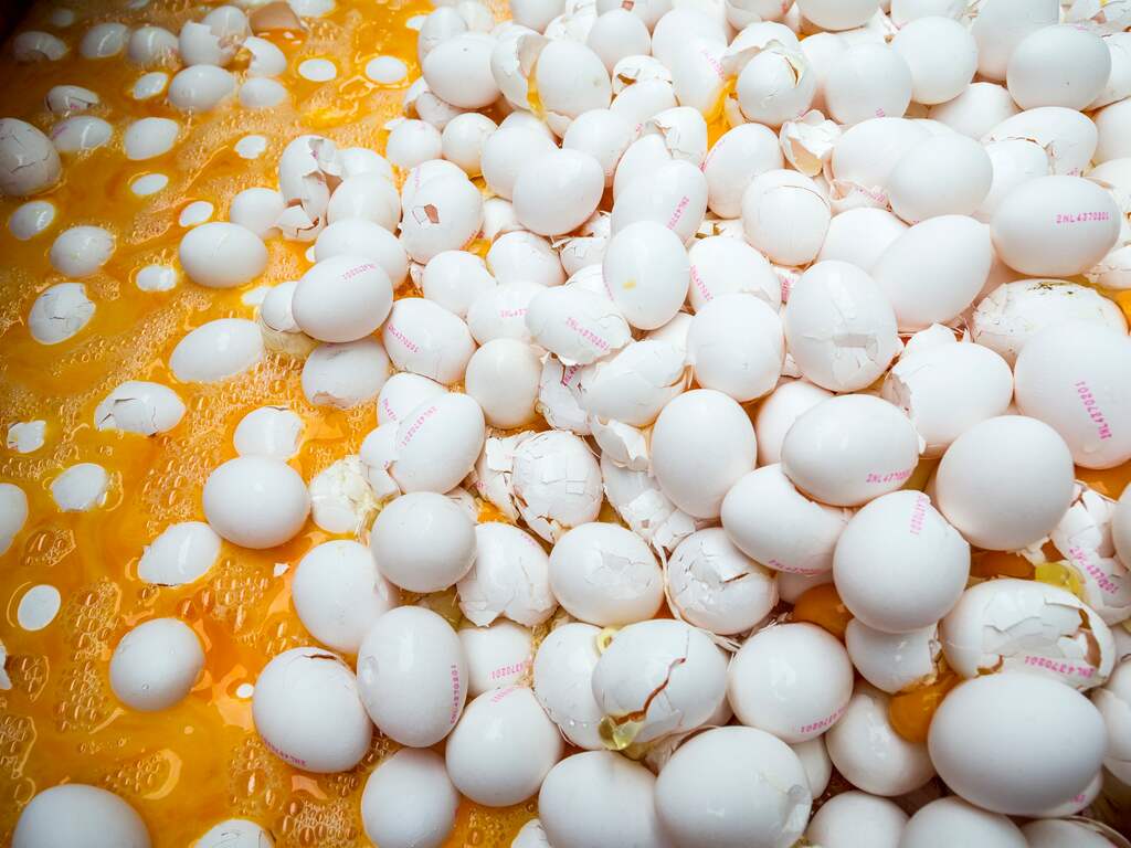 Alle eieren waar mogelijk fipronil in zat moesten worden vernietigd.