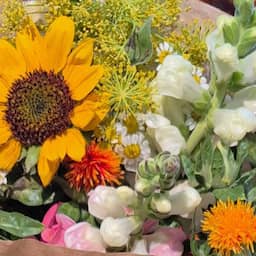 Het biologische supermarktboeketje verdwijnt na de zomer weer