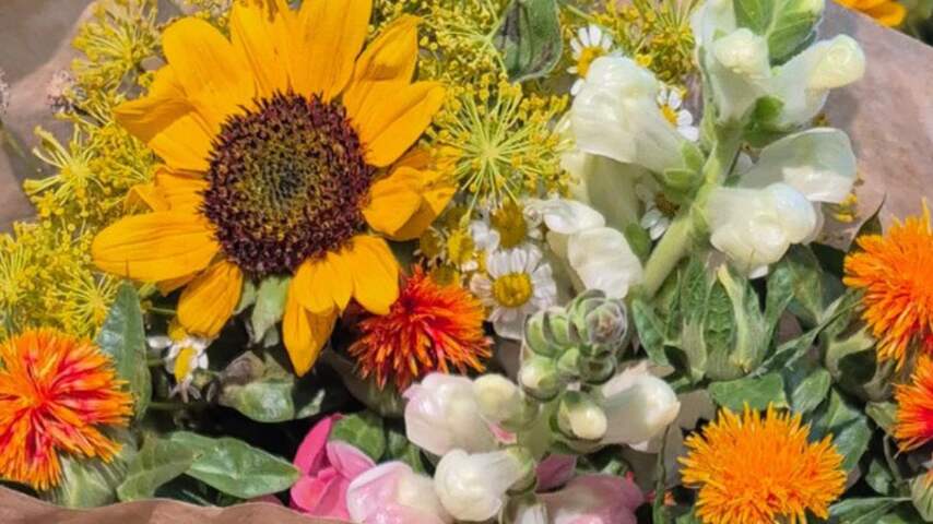 Boeket met biologische bloemen verdwijnt na de zomer weer uit de schappen