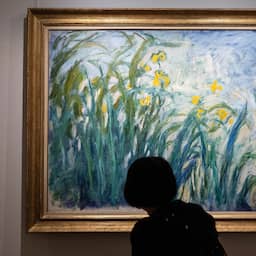 Monet-schilderij Iris voor 50 miljoen euro duurste werk ooit geveild in Frankrijk